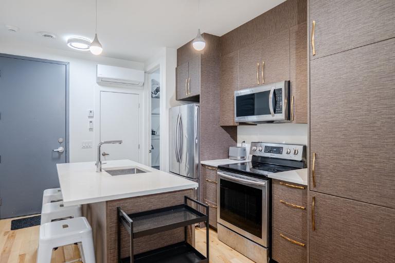 3 1/2 - Montréal (Centre-Sud) - 1 595 $/mois | 3280973
