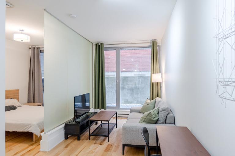 3 1/2 - Montréal (Centre-Sud) - 1 595 $/mois | 3280973