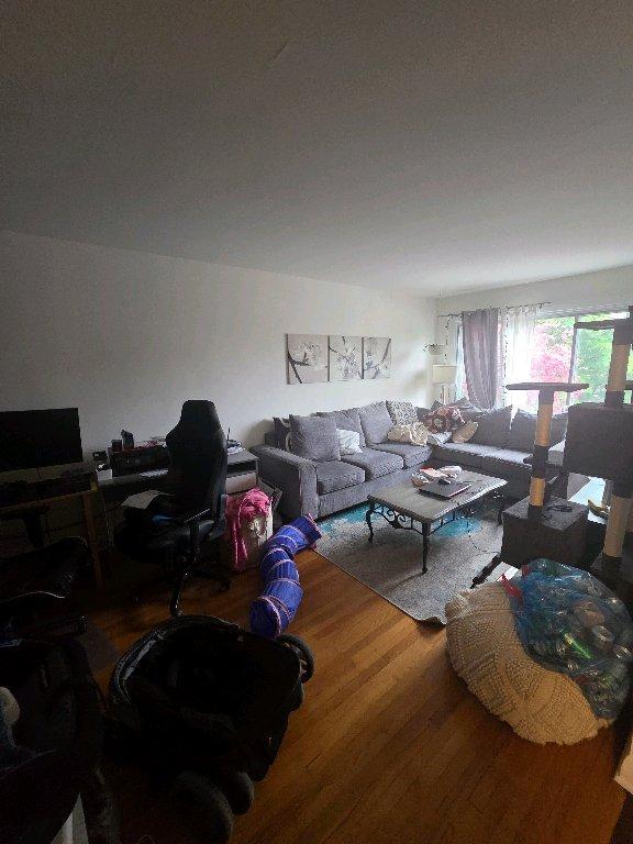 5 ½ À LOUER – SPACIEUX, LUMINEUX & TRANQUILLE ! | 3281008