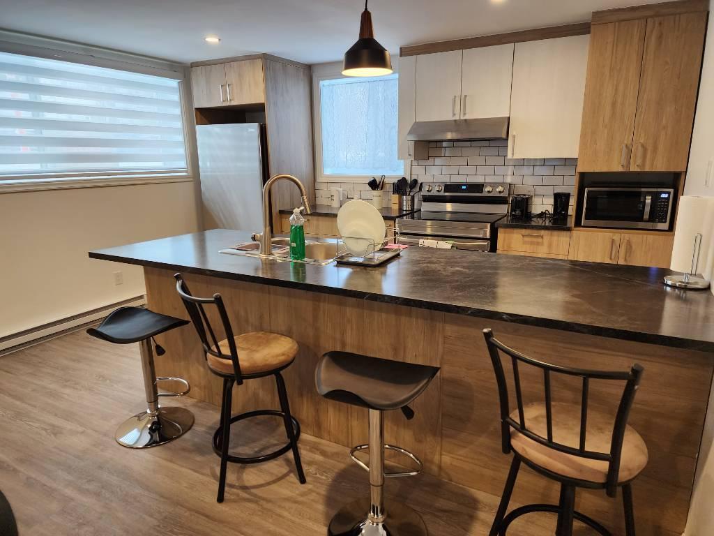 Location 5 1/2 meublé à Saint-Lambert ( 10mn de Montréal) | 3281025