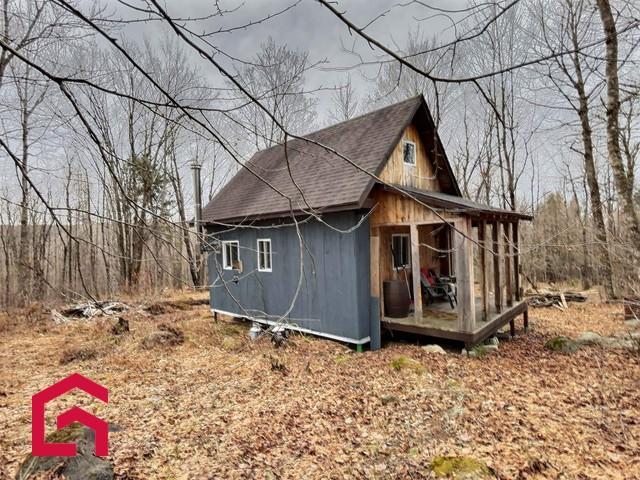 Terrain | 3281049