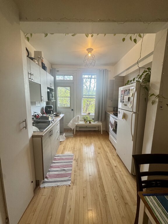Villeray - Beau 3 1/2 Lumineux | 3274063