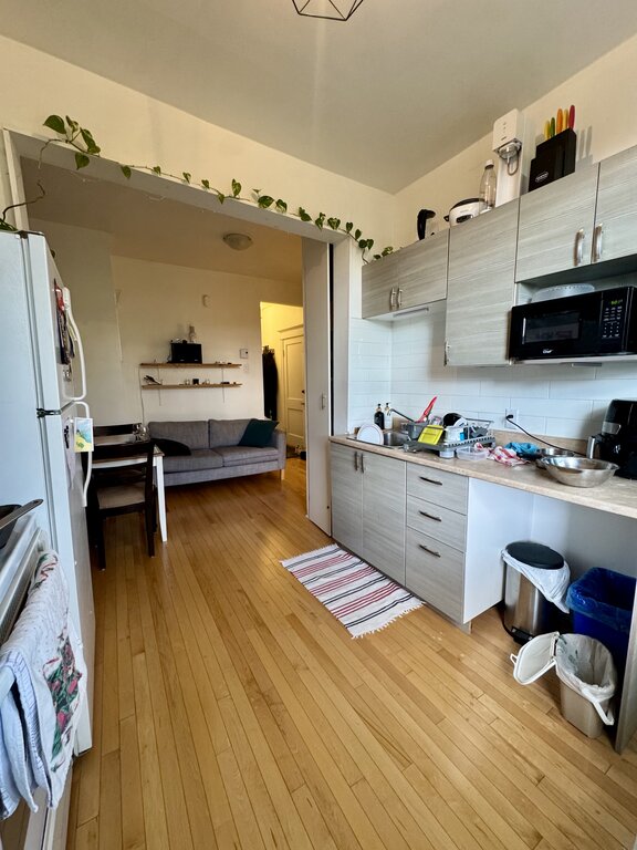 Villeray - Beau 3 1/2 Lumineux | 3274063