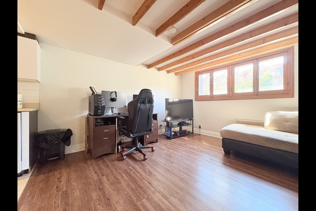Grand 3 ½ Lumineux – Vieux-Longueuil – D | 3274071