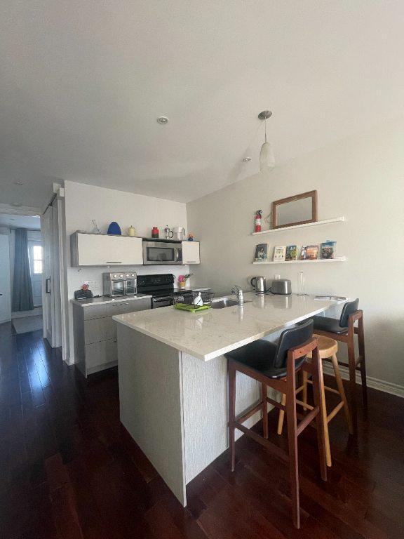 Charmant 3 1/2 lumineux dans Villeray à louer | 3281704