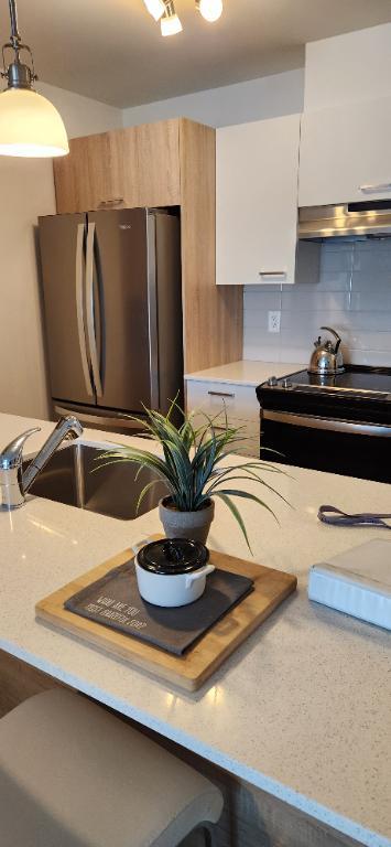 LOGEMENT A LOUER TOUT INCLUS AVEC GARAGE | 3283686