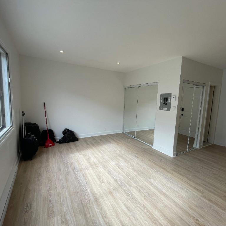 Studio - Sainte-Anne-de-Bellevue - $975 /mo | 3282630