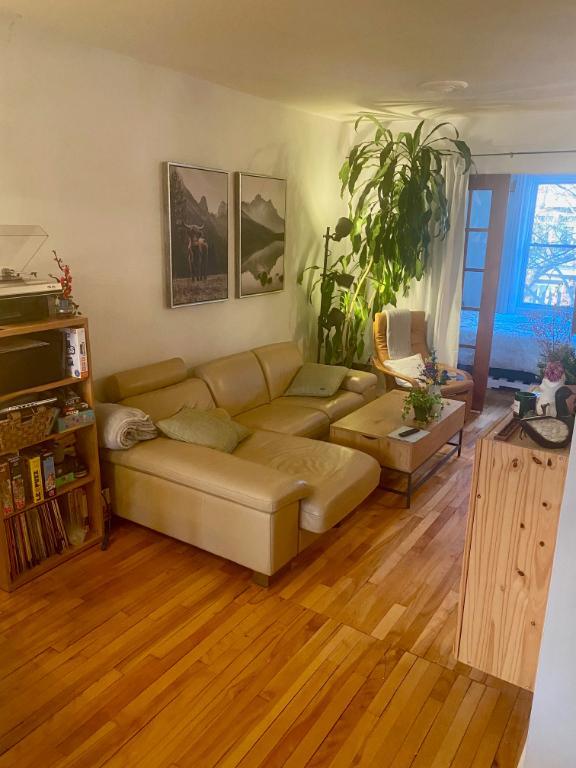 4 ½ - rénové à Villeray près du métro Crémazie/Jarry | 3278586