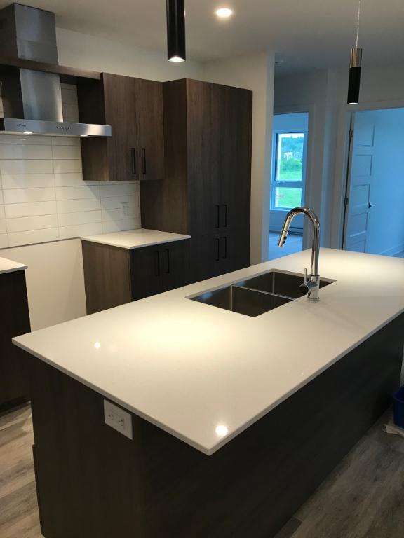 Condo 4 1/2 à louer - Terrebonne | 3282772