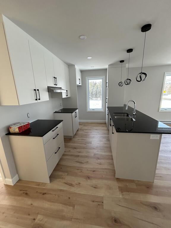 Grand 4 1/2 Neuf à Louer | 3275714