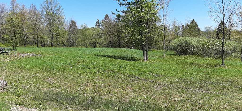 Terrain a vendre Stukely-sud,Eastman.Estrie | 3283707