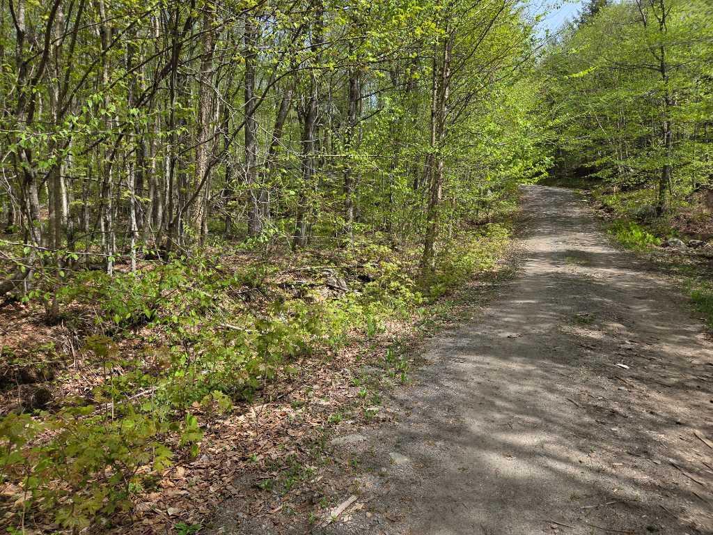 Terre à bois avec lac | 3283708