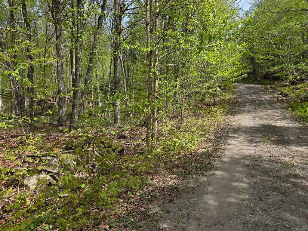 Terre à bois avec lac | 3283708