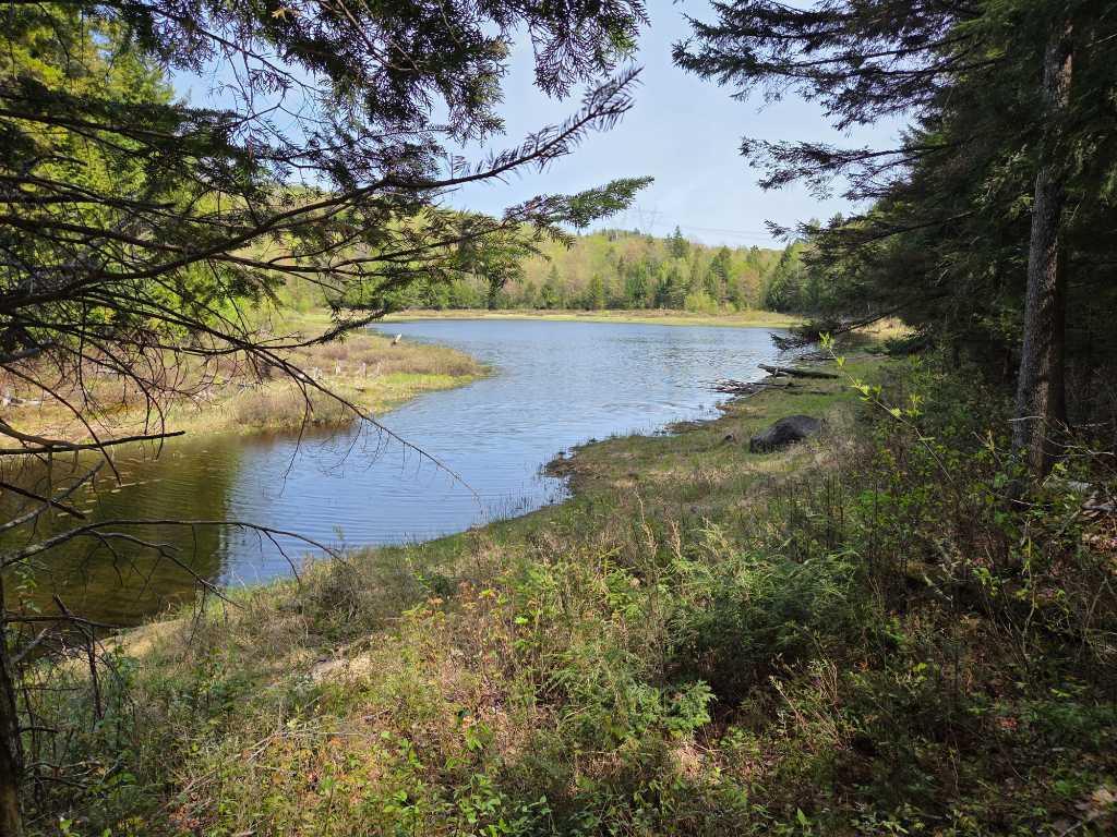 Terre à bois avec lac | 3283708