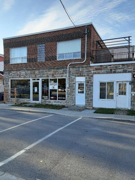Saint-Rémi, 3 1/2 fraîchement rénové, disponible maintenant | 3276474