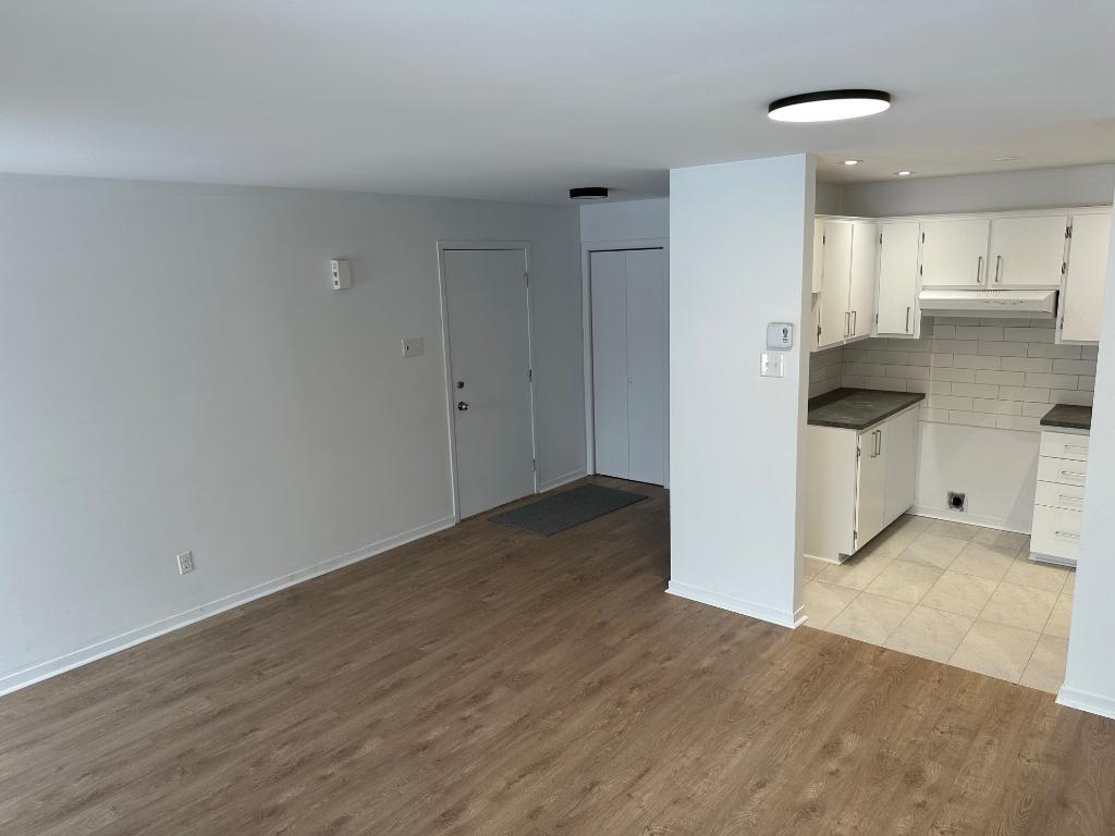 41/2 à louer Mercier Hochelaga Maisonneuve secteur Louis Riel | 3284305
