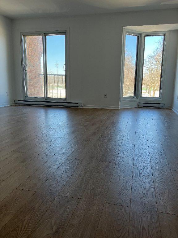 41/2 à louer Mercier Hochelaga Maisonneuve secteur Louis Riel | 3284305
