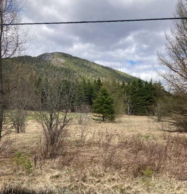 Terrain 150' x 200' situé à Adstock secteur St-Daniel | 3276624