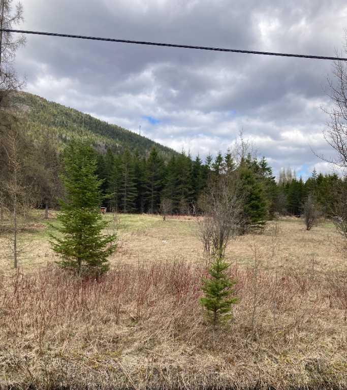 Terrain 150' x 200' situé à Adstock secteur St-Daniel | 3276624