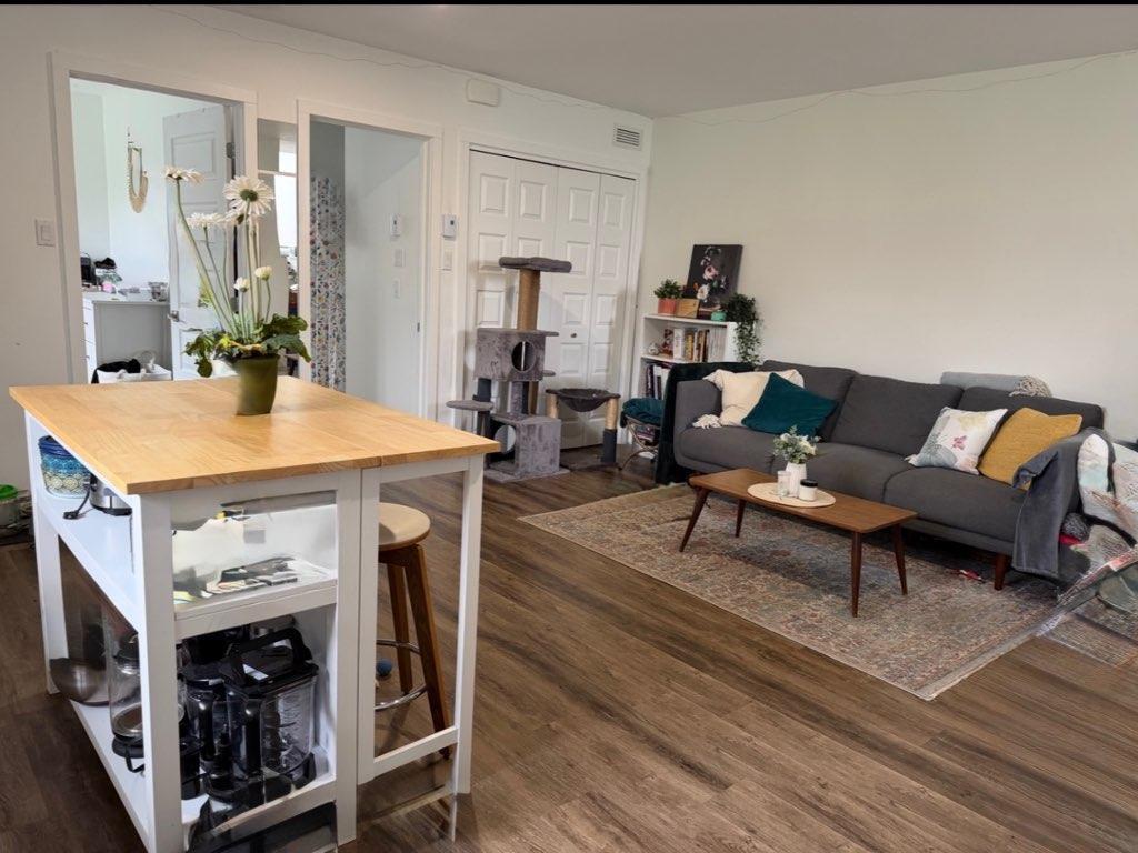 Appartement 3 1/2 | 3277254