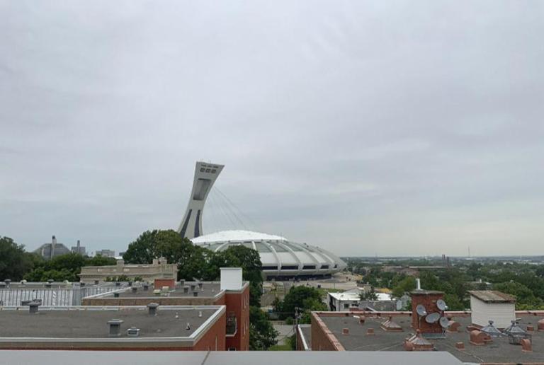 4 1/2 - Montréal (Rosemont) - 2 900 $/mois | 3277414