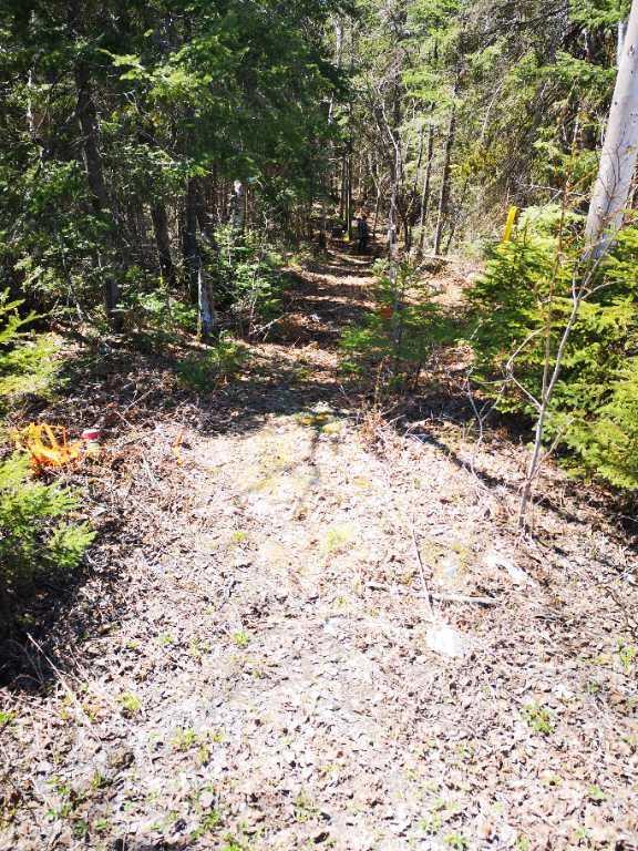 Terrain à vendre à Alma 75 000$ | 3277426