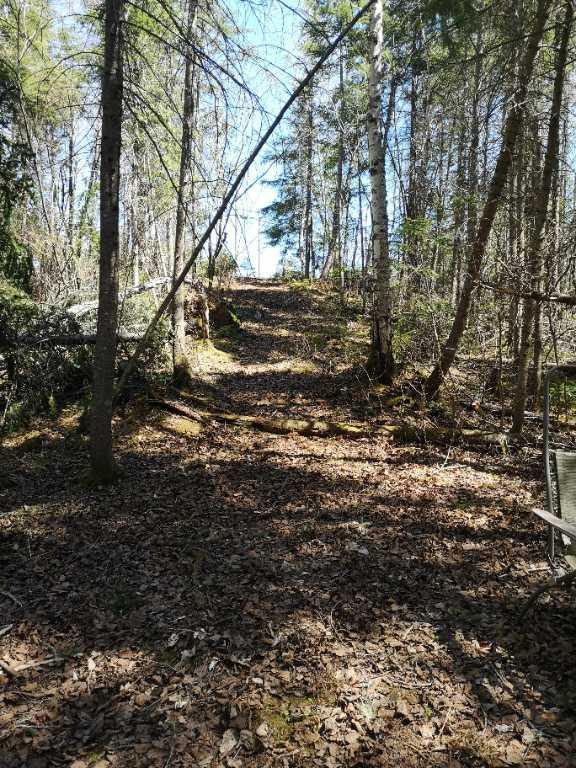 Terrain à vendre à Alma 75 000$ | 3277426