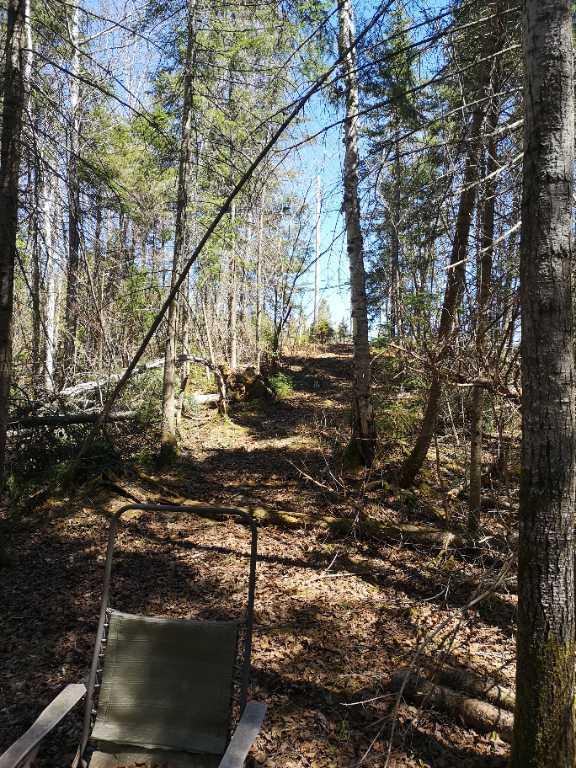 Terrain à vendre à Alma 75 000$ | 3277426