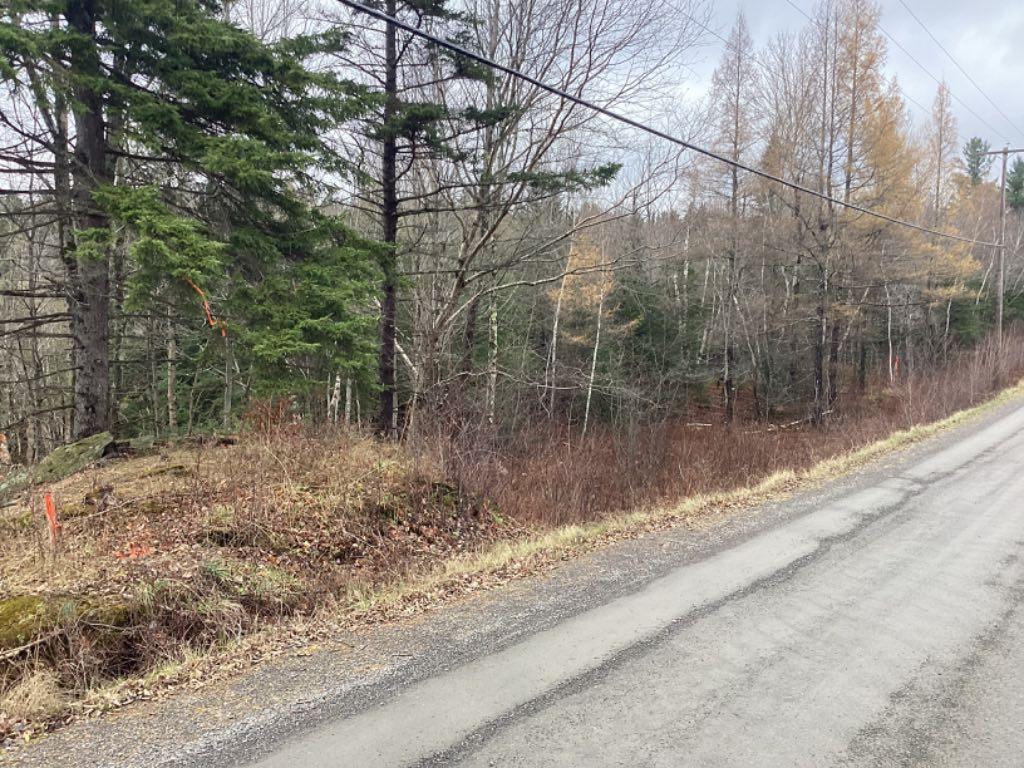 Terrain a vendre/ land for sale ch du Mont Echo | 3279202