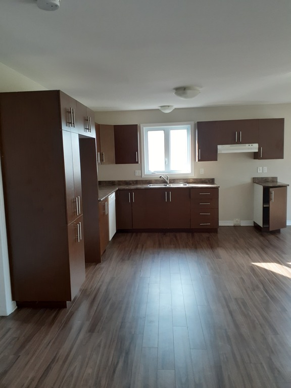 Magnifique Appartement 4 1/2, à Aylmer | 3282179