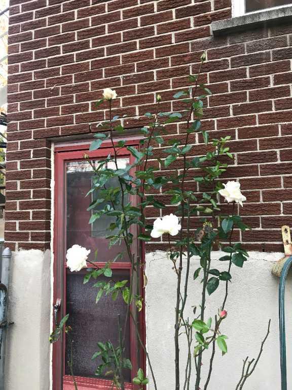 Rare Lachine ouest le 1 jul, 3 1/2 semi basement sunny, especial $ 899, tranquil et bon | 3277822