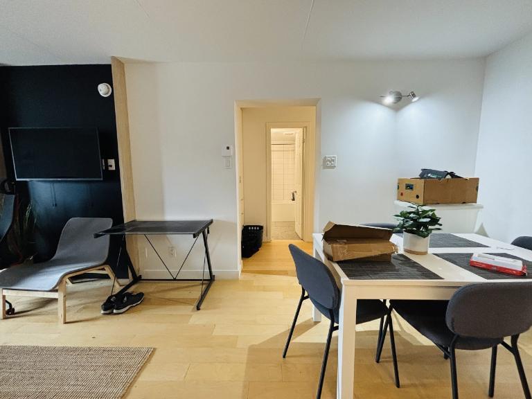 Loft entièrement meublé à louer Sainte-Foy / Sillery juillet 2026 | 3293327