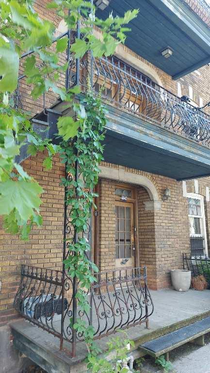 Très grand 4½ plateau Mont-Royal | 3277958