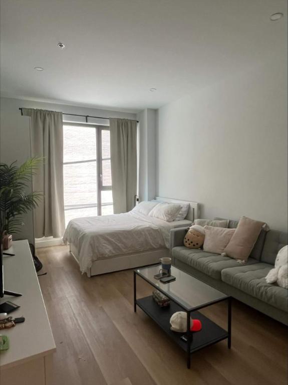 Studio - Montréal - $1,555 /mo | 3279897