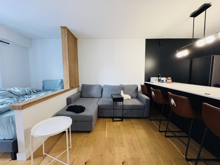 Loft entièrement meublé à louer Saint-Jean-Baptiste juillet 2025 | 3293663