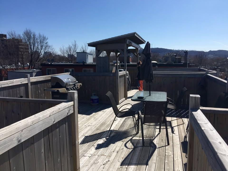 grand 3 1/2 avec terrasse sur le toit, parc lafontaine Plateau Mont Royal | 3278607