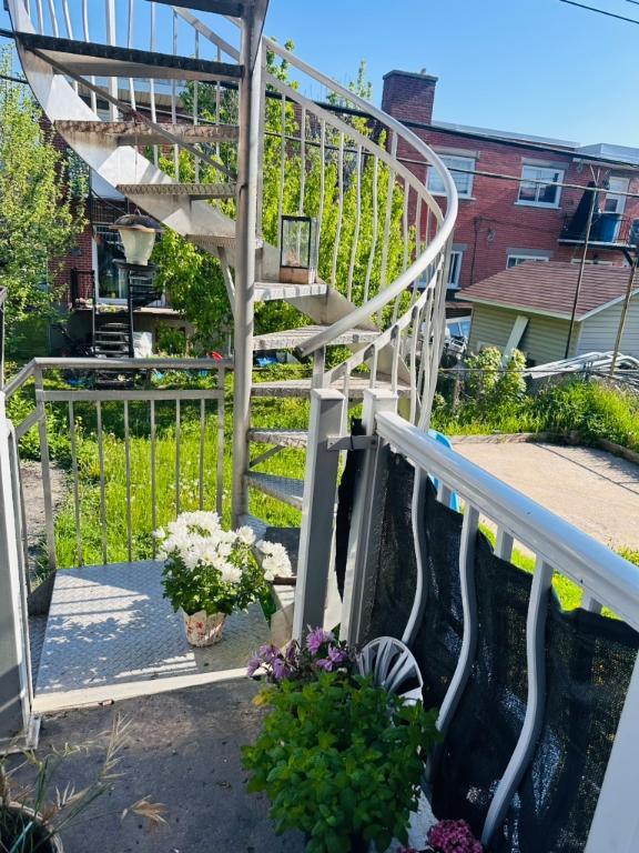 Maison / Appartement a louer avec Garage interieure et Cour | 3278628