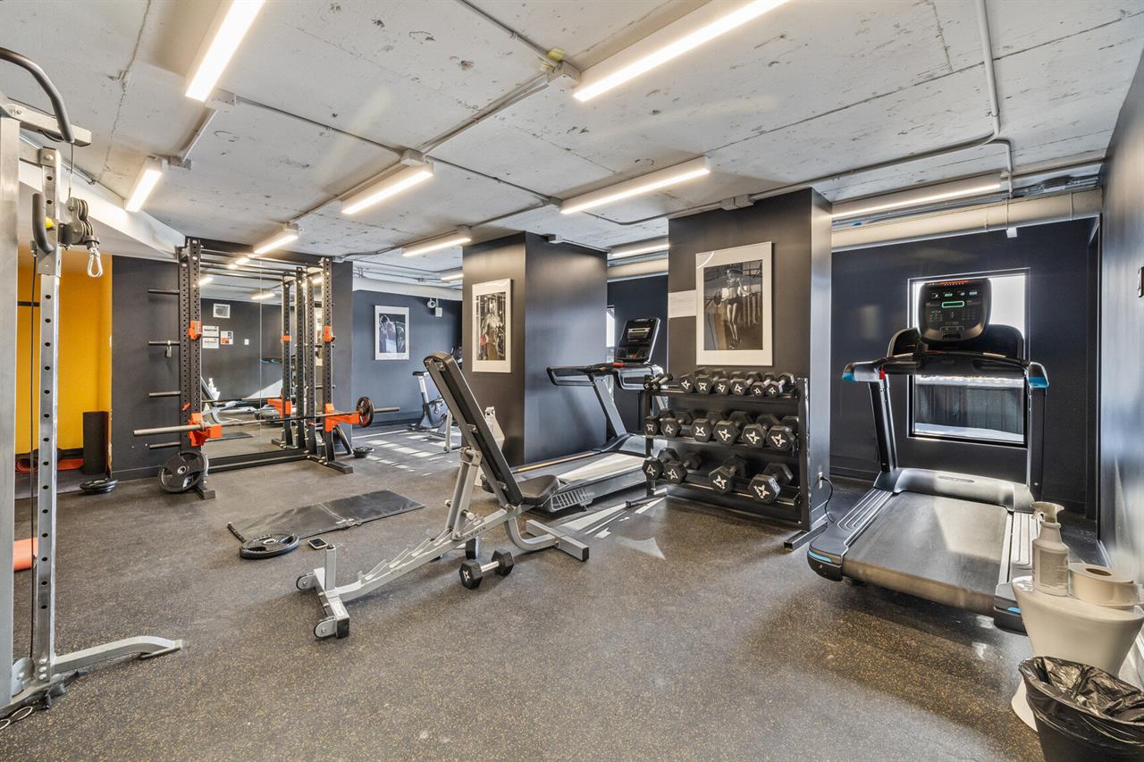 STUDIO - 3475 Rue De La Montagne, Montréal | 3279001