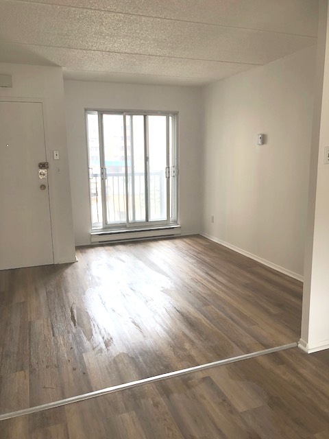 Lumineux, Propre Et Beau Logis (4 1/2) | 3282079