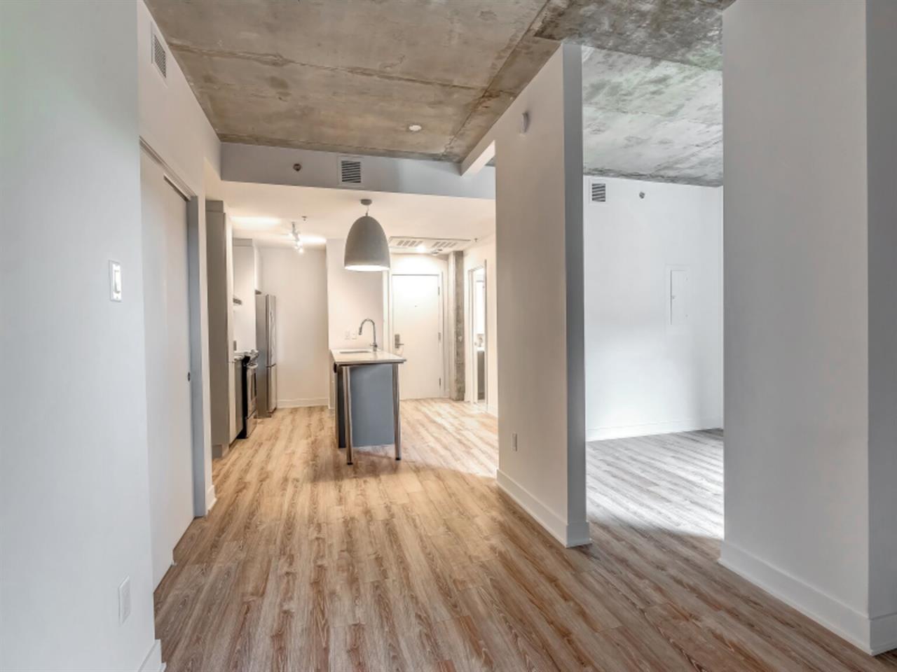 Studio - 230 Rue Dominion, Montréal | 3279039