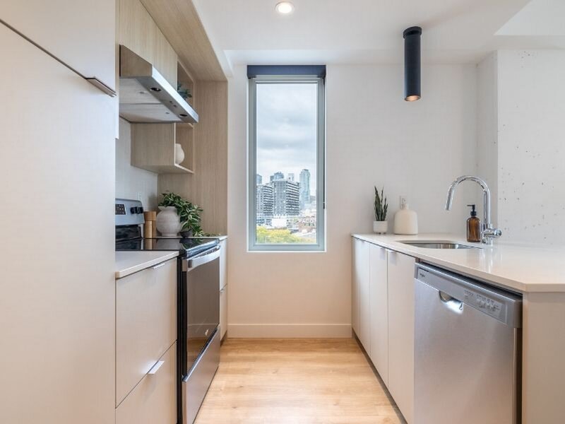 1 Bedroom - 997 Rue De La Commune, Montréal | 3279056