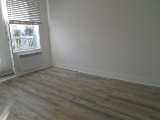 3 ½ rue Parc Georges Montréal LIBRE | 3279078