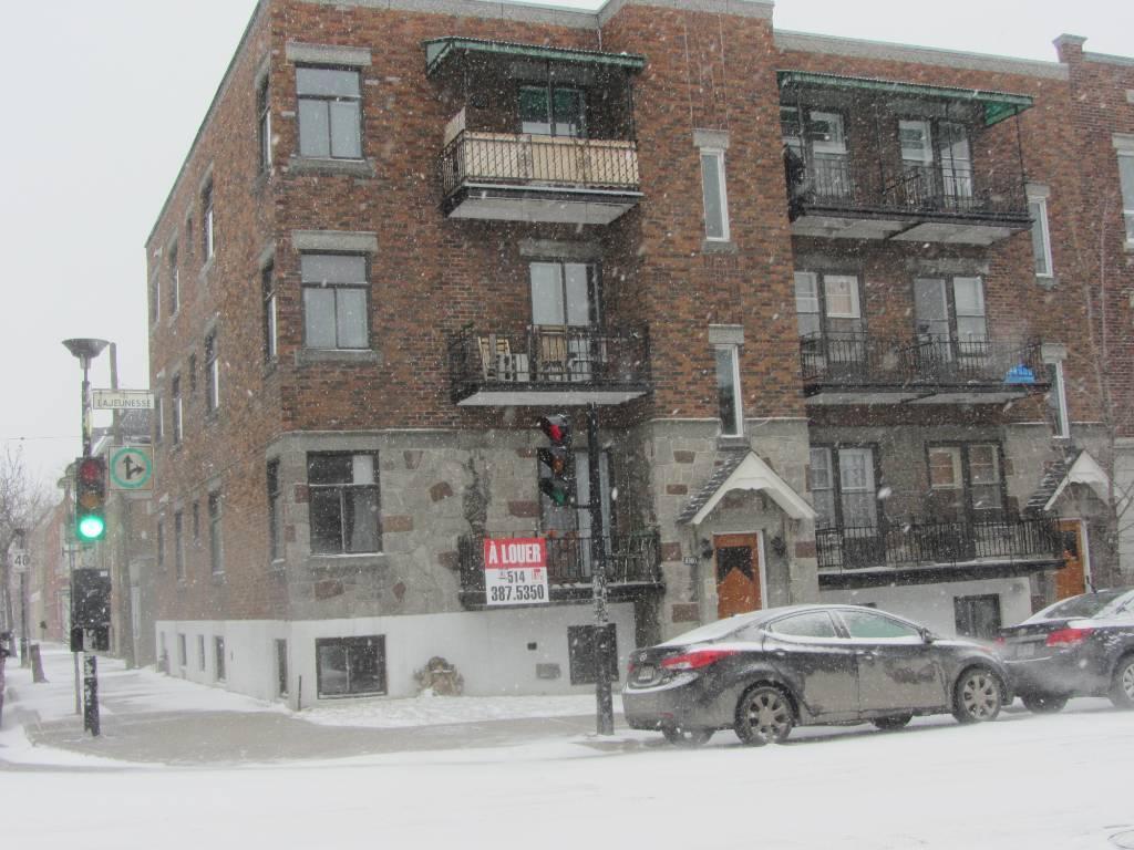 Montréal 3½ à louer | 3279843