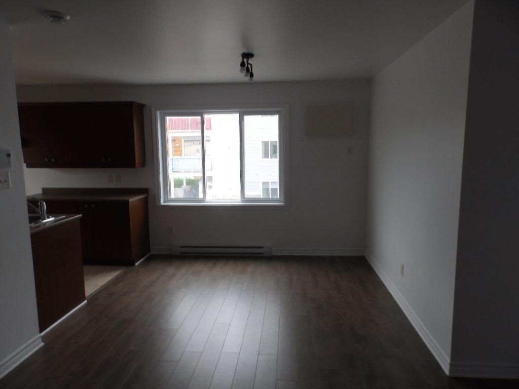 logement 4 1/2 1er étage triplex | 3279847