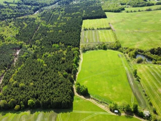 St-Rémi-de-Tingwick : Terre à bois et de culture de 101,45 acres | 3282643
