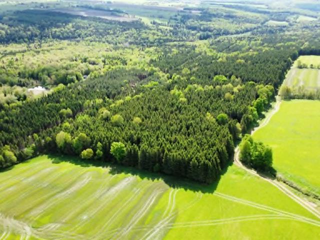 St-Rémi-de-Tingwick : Terre à bois et de culture de 101,45 acres | 3282643