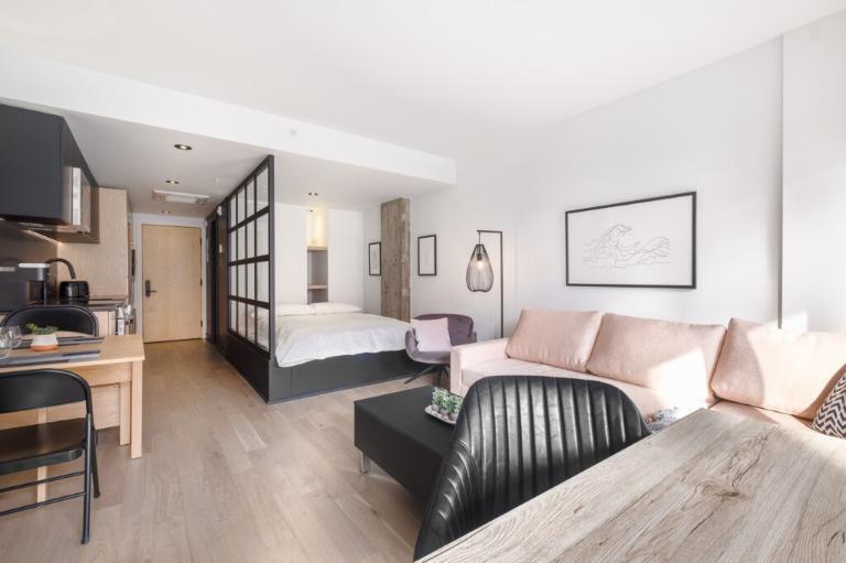 Loft entièrement meublé à louer Saint-Jean-Baptiste juillet 2026 | 3287742