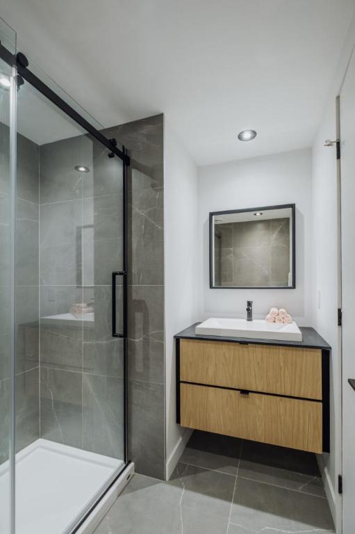Loft entièrement meublé à louer Saint-Jean-Baptiste juillet 2026 | 3287742