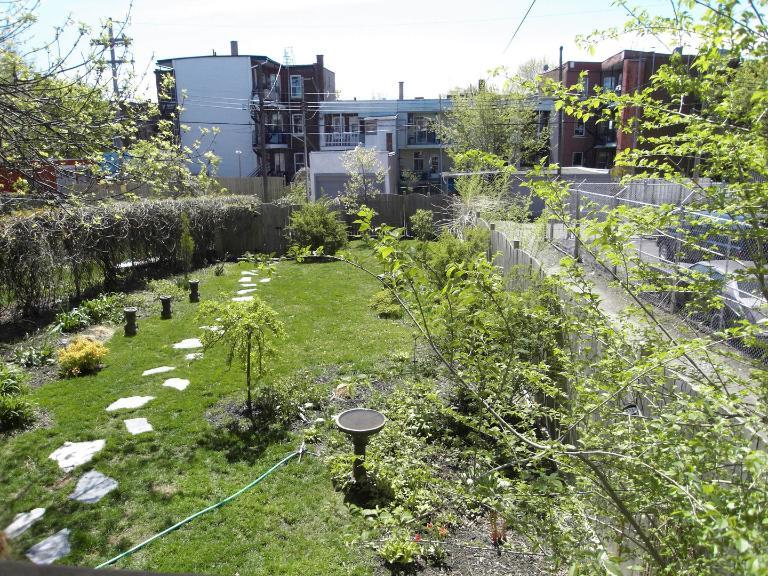 4 1/2 - Montréal (Hochelaga / Maisonneuve) - 1 600 $/mois | 3280732