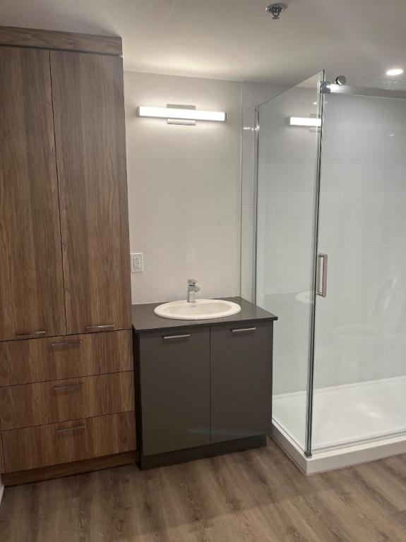 1 CH - 1 SDB - Terrebonne - $1,700 /mo | 3280736